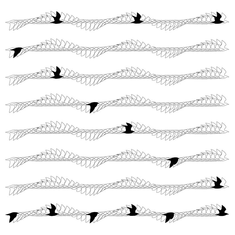 illustration of bird wing movements