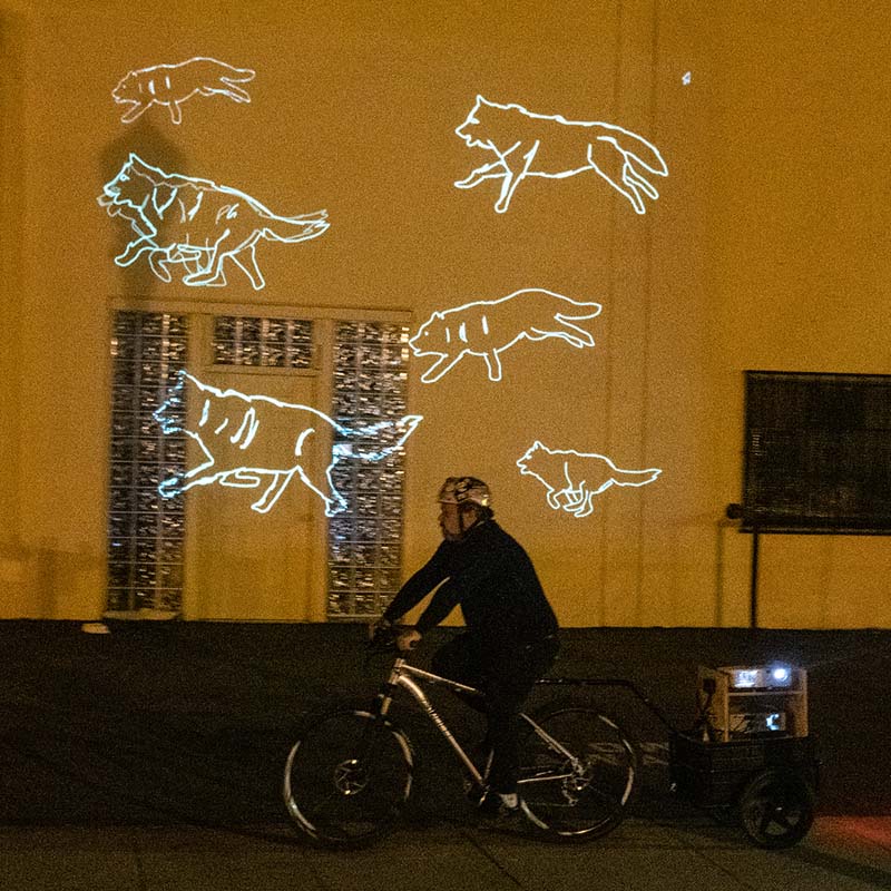 man riding bicycle with video projectors