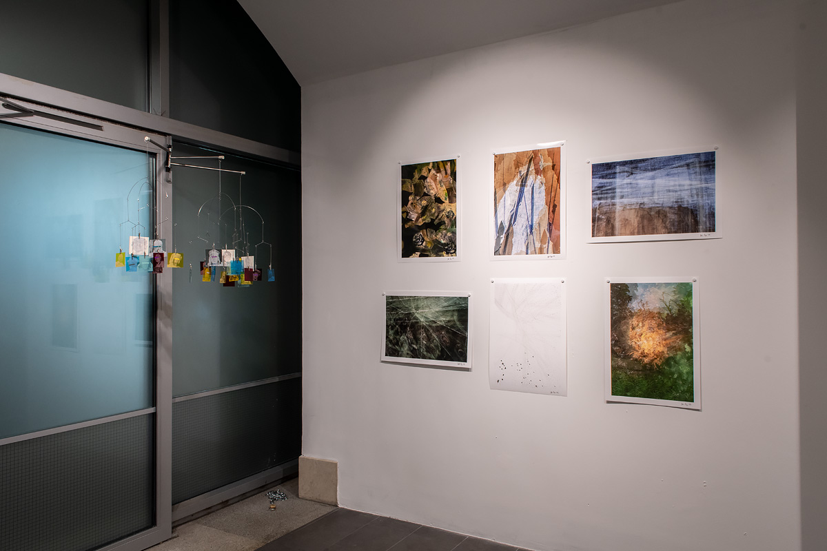 Photographs hanging on wall