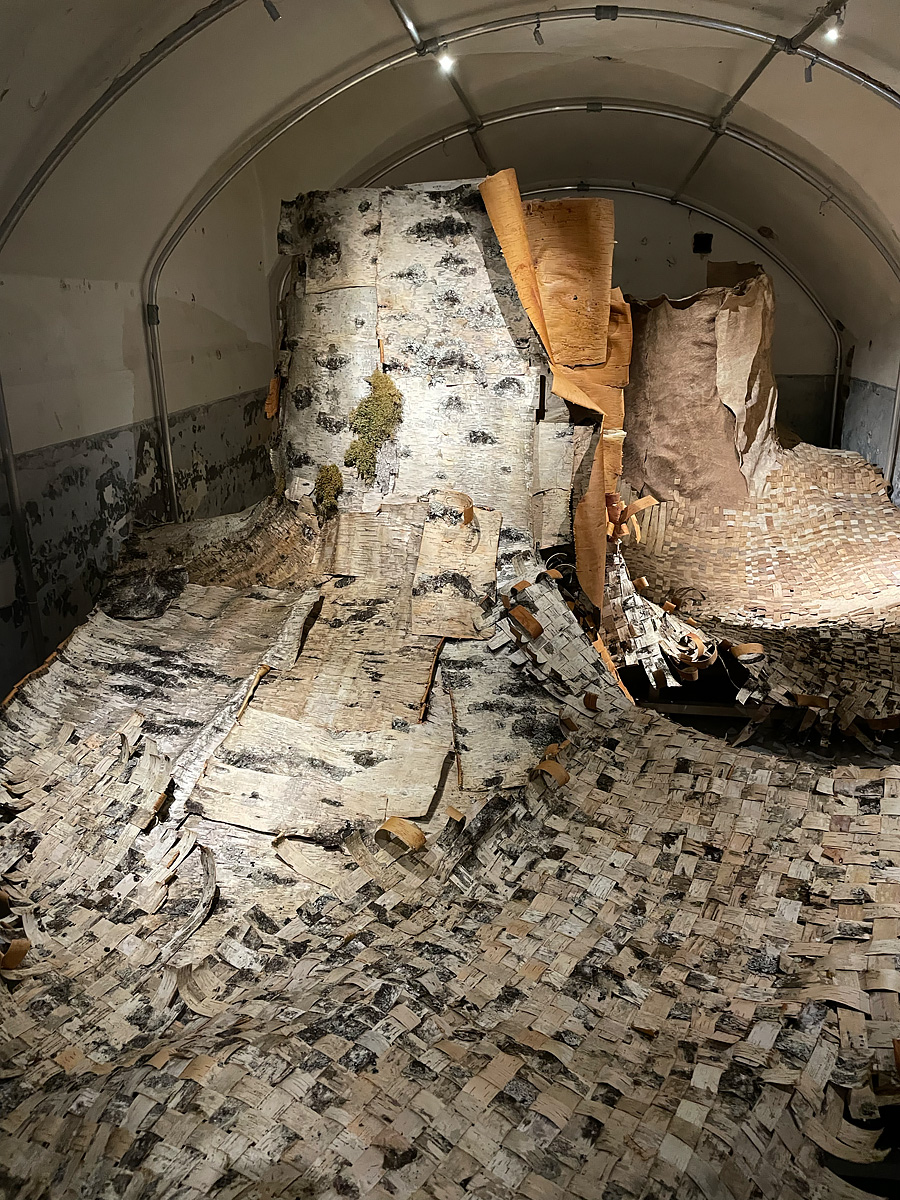 Birch art installation