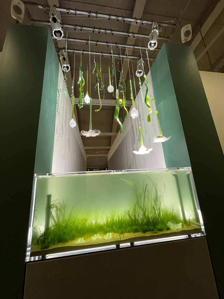 Green aquarium with hanging glass