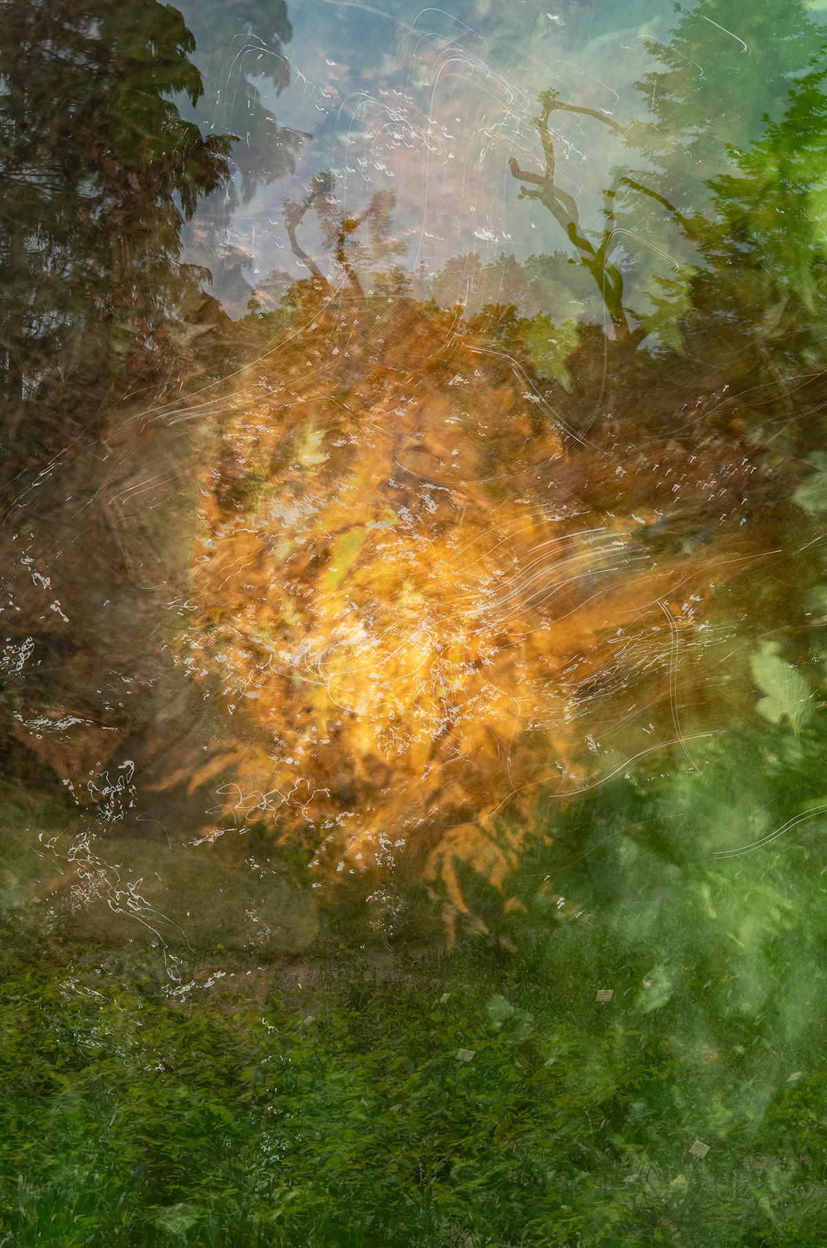 Abstract photograph of a yellow color burst surrounded by green