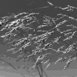 glitch9