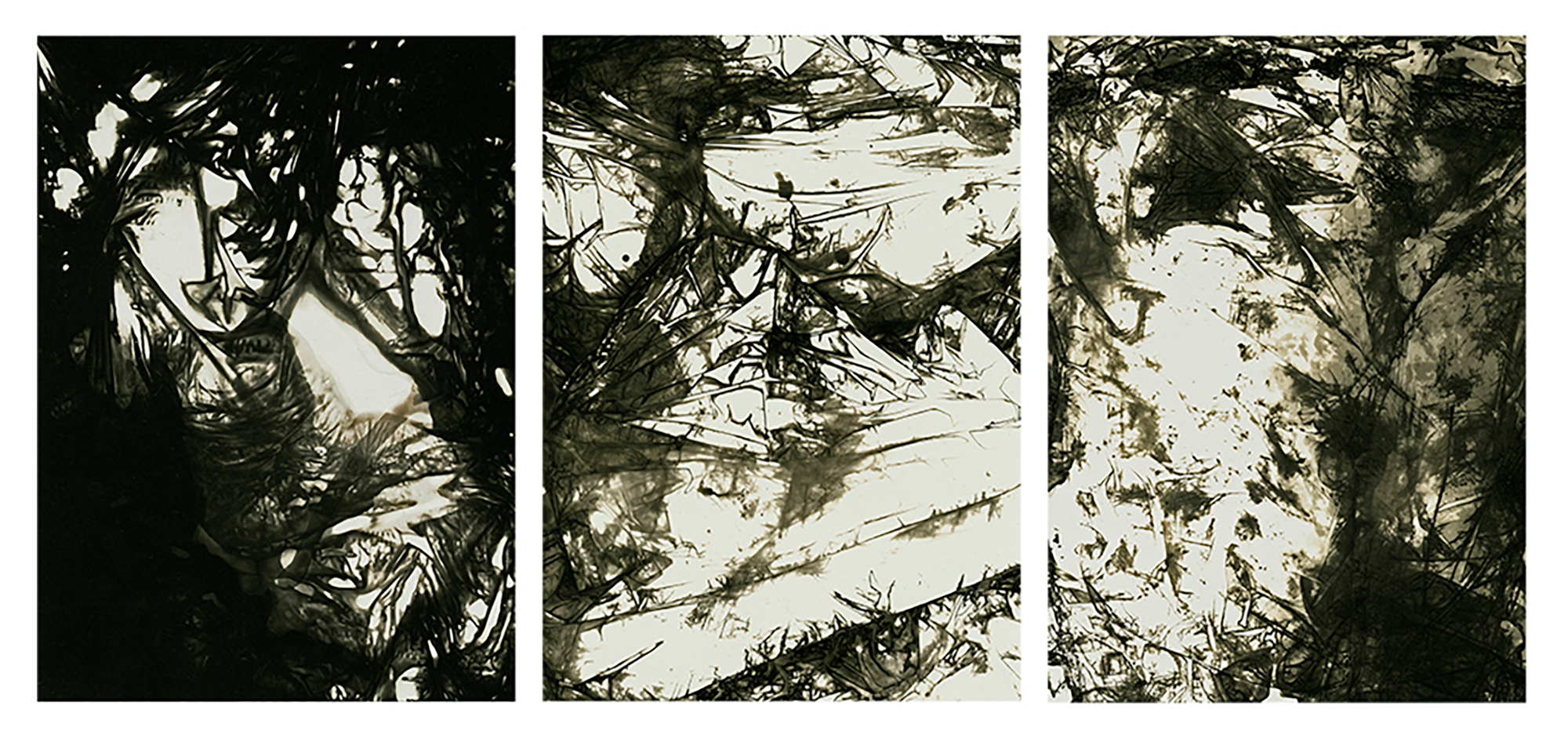 Skin: wide panoramic study of skin texture and tone in a futuristic, climate-minded register